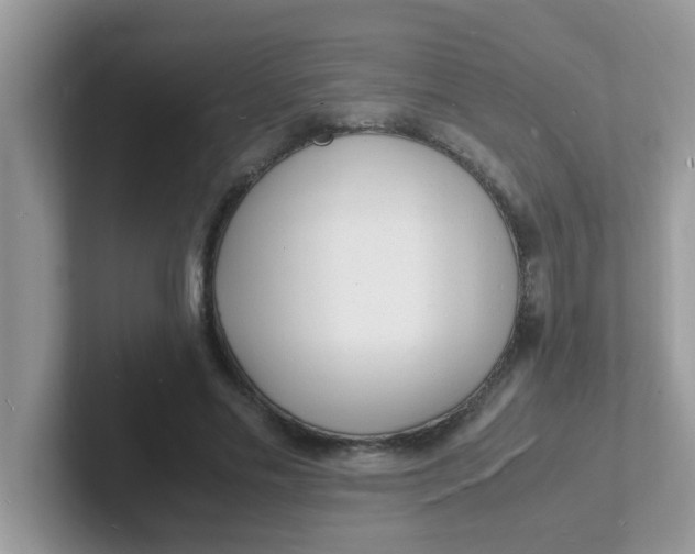 X0000101480589200807281041