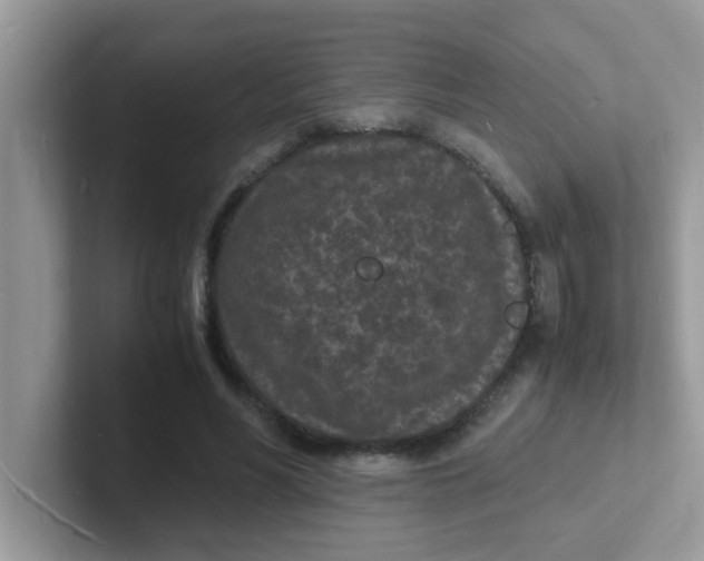 X0000101480590200807281041