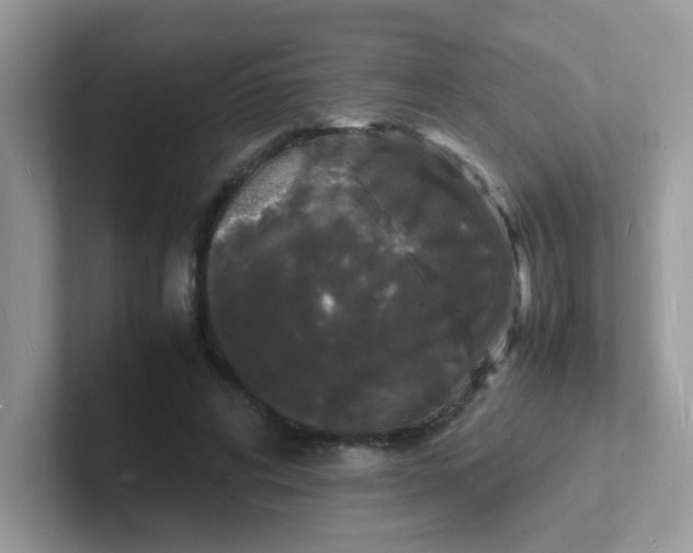 X0000101480592200807281041