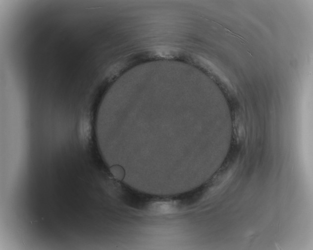 X0000101480595200807281041