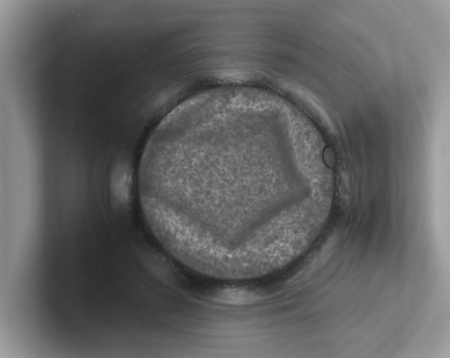 X0000101480596200807281041