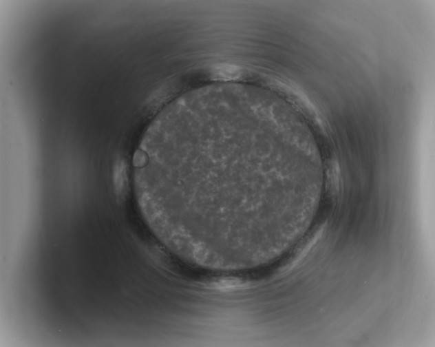 X0000101480598200807281041