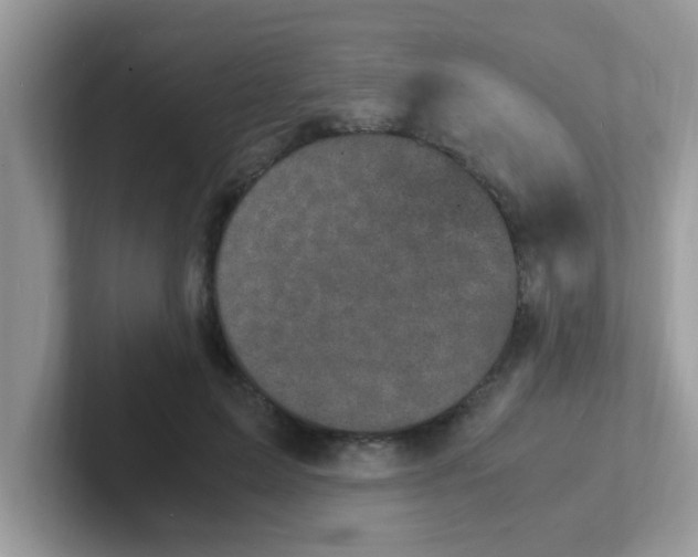 X0000101480599200807281041