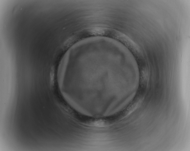 X0000101480600200807281041