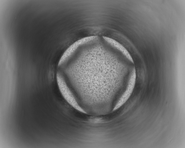 X0000101480602200807281041