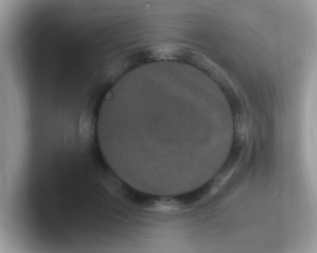 X0000101480603200807281041