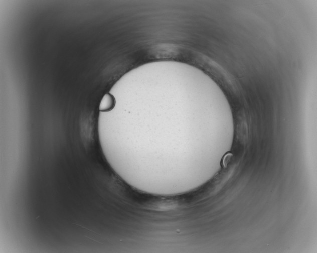 X0000101480604200807281041