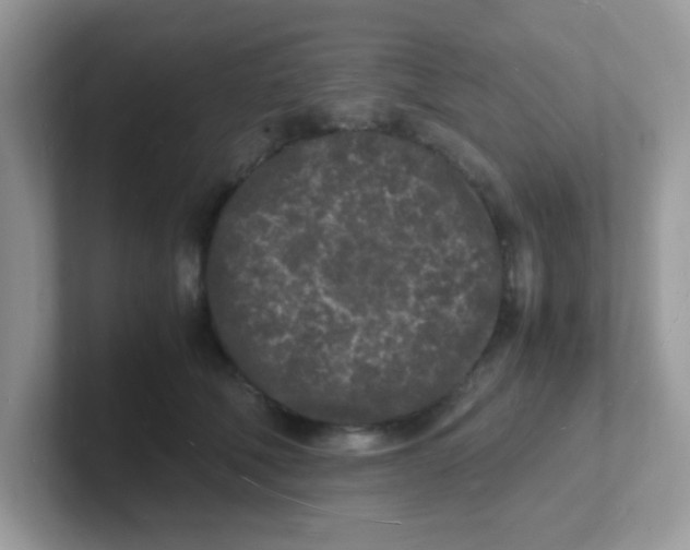 X0000101480610200807281041