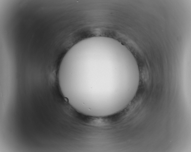 X0000101480611200807281041