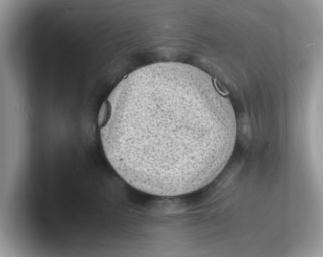 X0000101480615200807281041