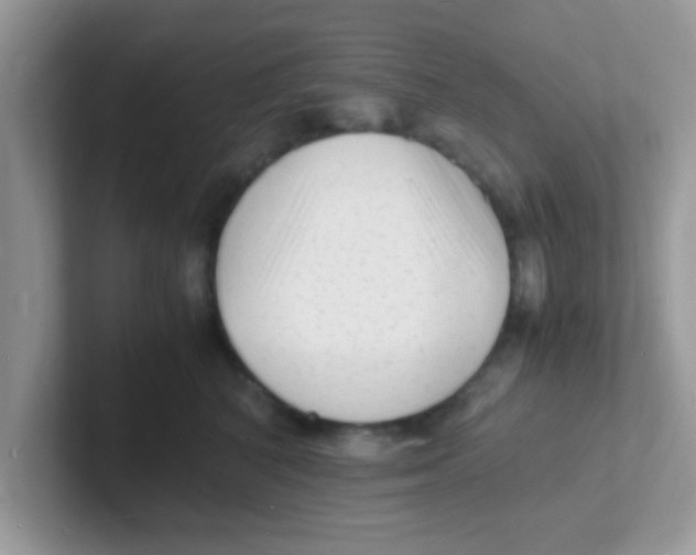 X0000101480616200807281041