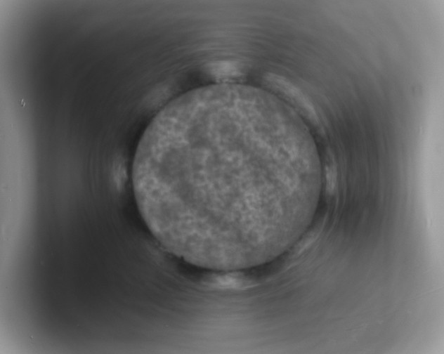 X0000101480618200807281041