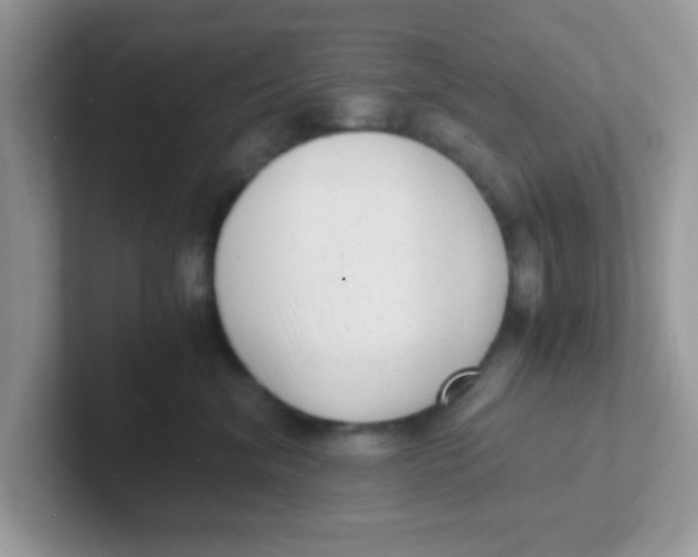 X0000101480620200807281041