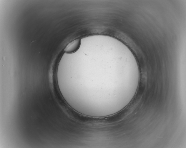 X0000101480626200807281040