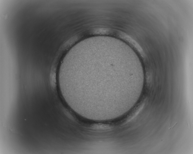 X0000101480633200807281040