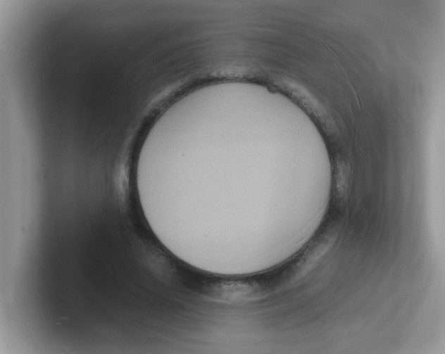 X0000101480636200807281040