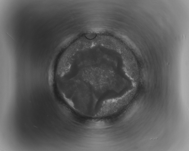 X0000101480640200807281040