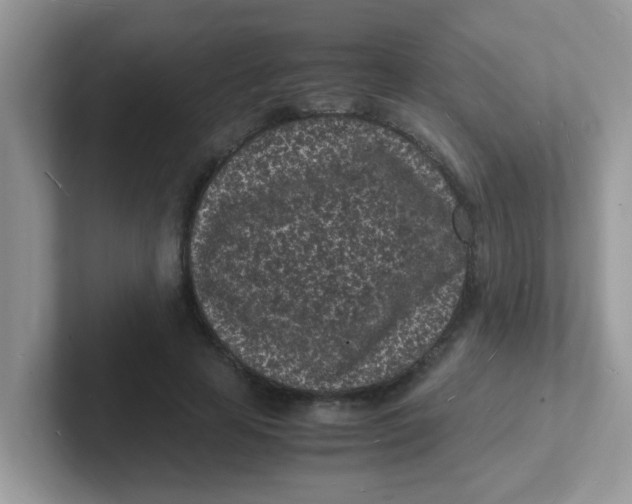 X0000101480641200807281040