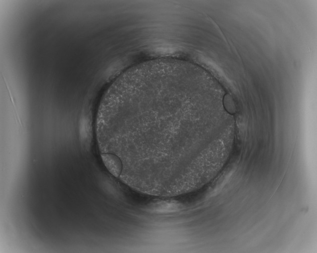 X0000101480642200807281040