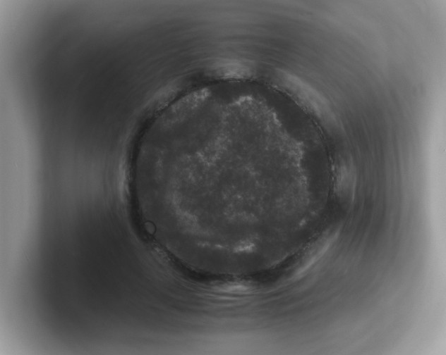 X0000101480643200807281040