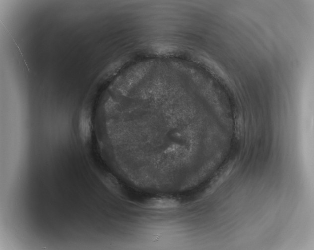 X0000101480644200807281040