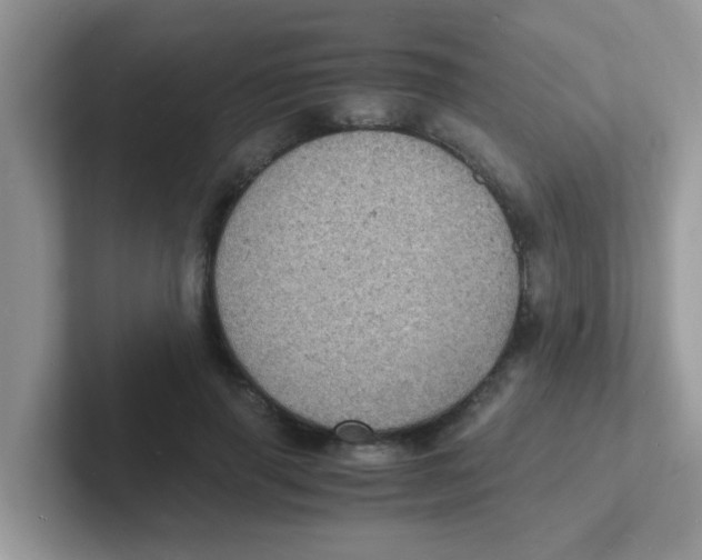 X0000101480645200807281040