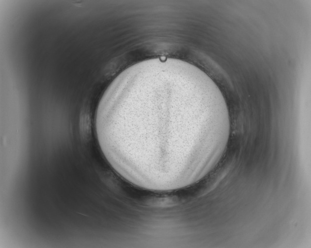 X0000101480646200807281040