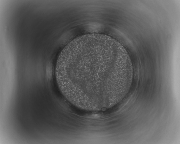 X0000101480647200807281040