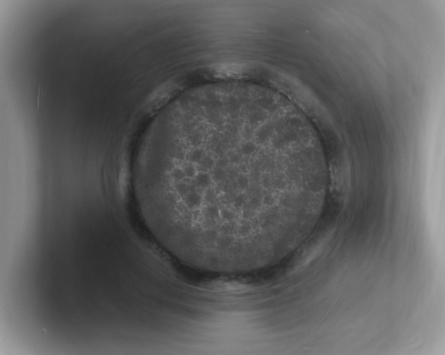 X0000101480648200807281040