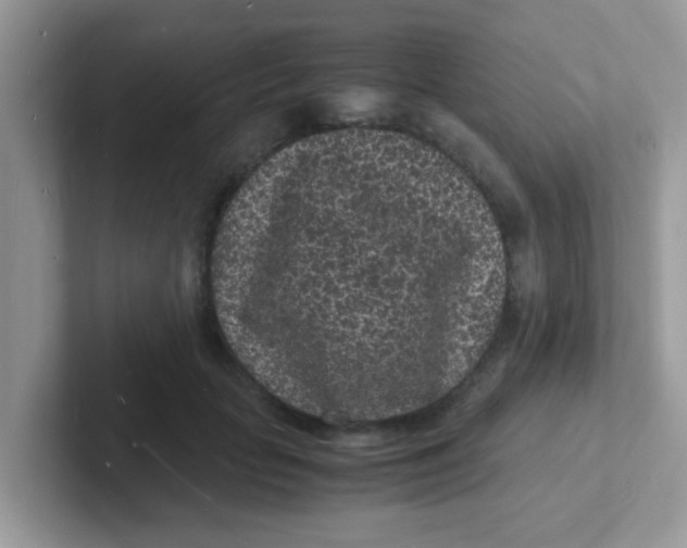 X0000101480653200807281040