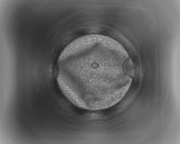 X0000101480655200807281040