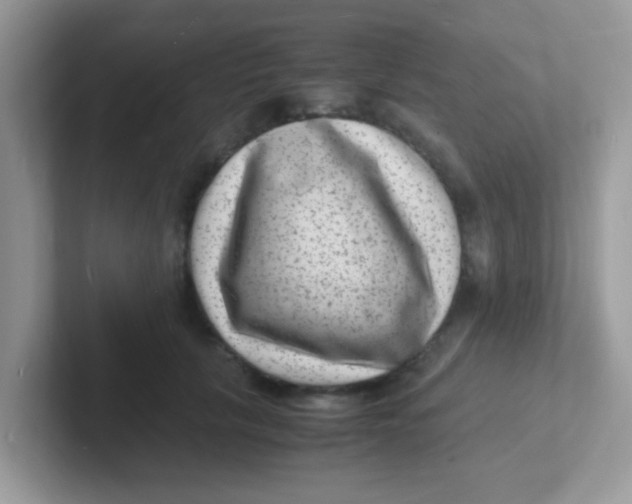 X0000101480657200807281040