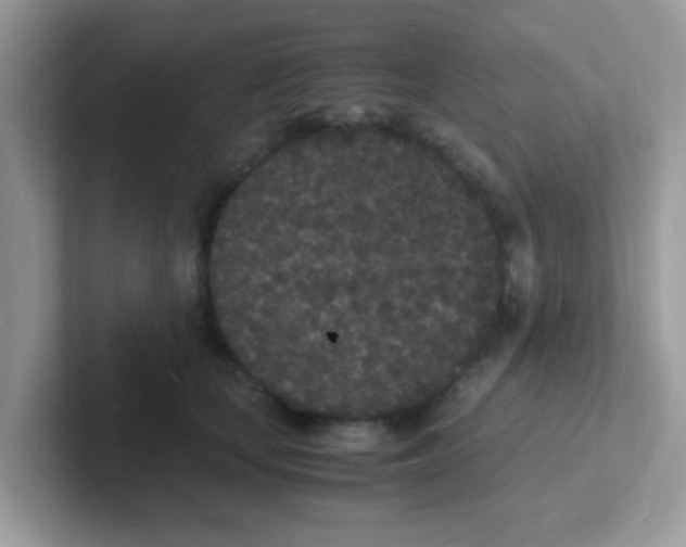 X0000101480659200807281040