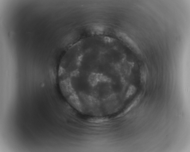 X0000101480661200807281040