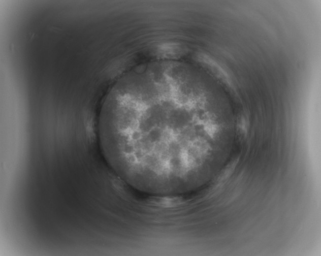 X0000101480663200807281040