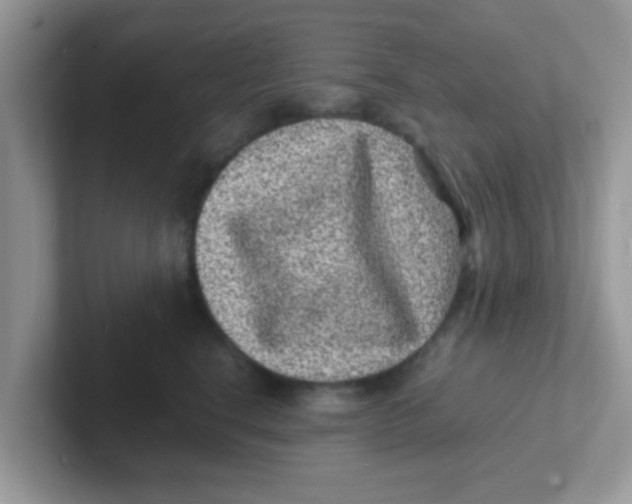 X0000101480664200807281040