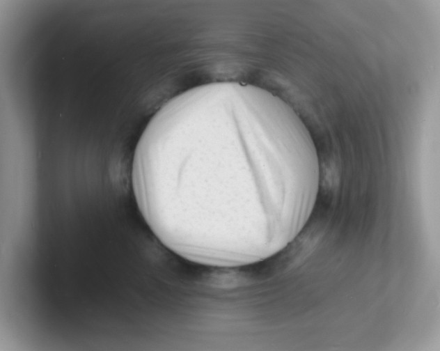 X0000101480666200807281040