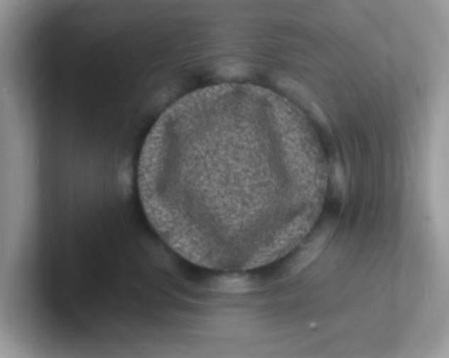 X0000101480668200807281040