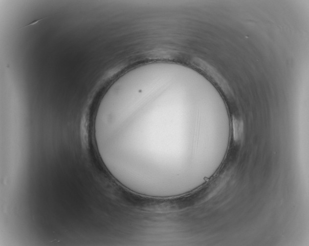 X0000101480675200807281040