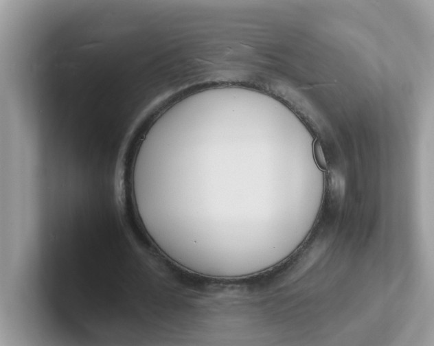 X0000101480676200807281040