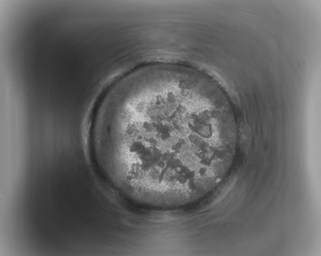 X0000101480679200807281040