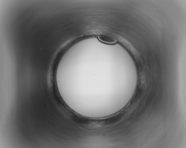 X0000101480680200807281040