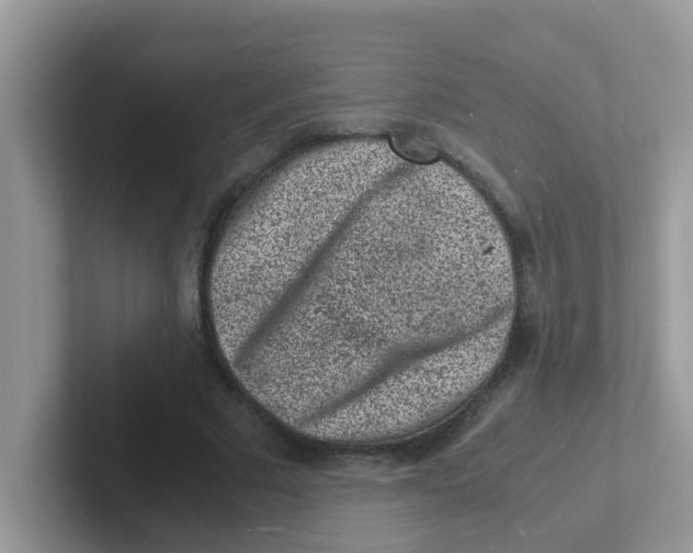 X0000101480681200807281040