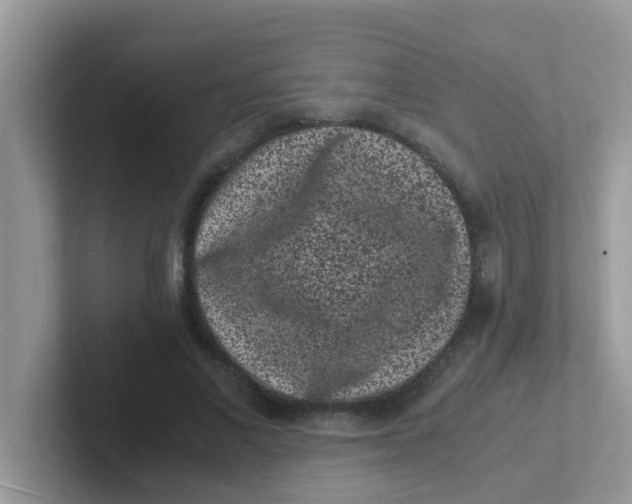 X0000101480685200807281040