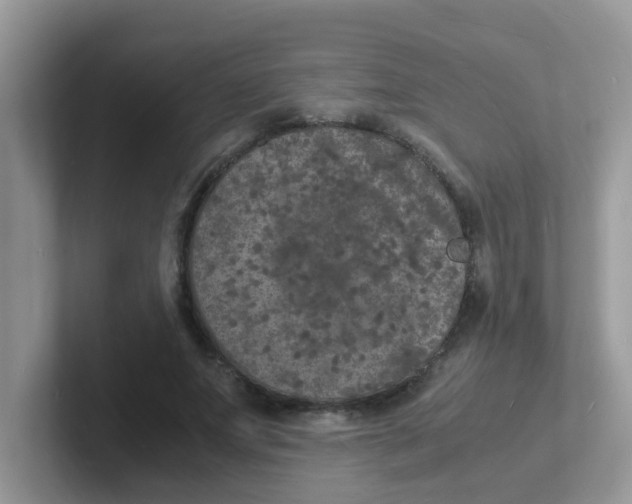 X0000101480687200807281040