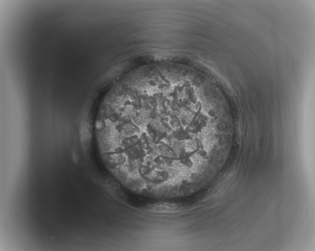 X0000101480691200807281040