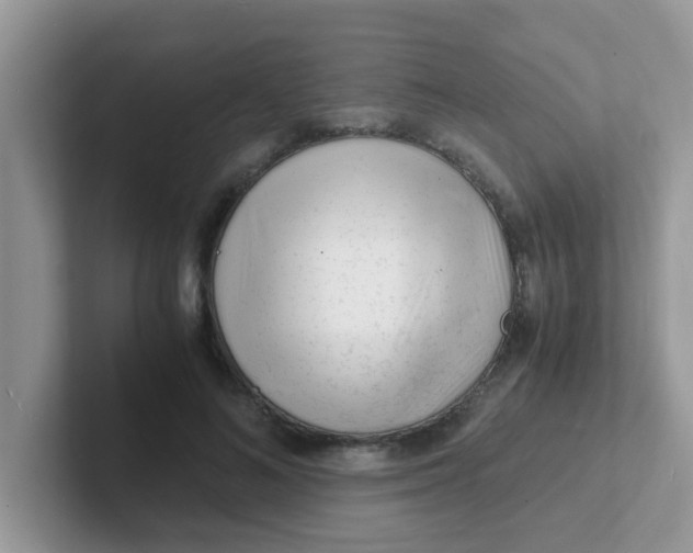 X0000101480692200807281040