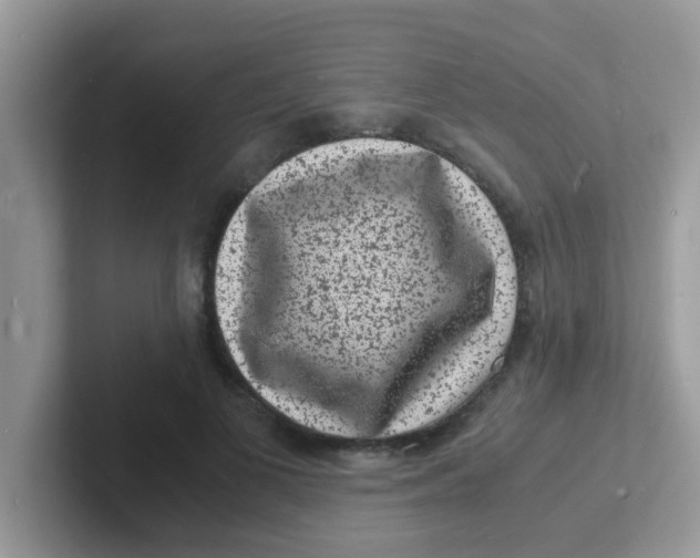 X0000101480693200807281040