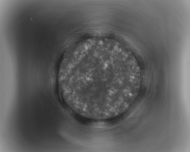 X0000101480695200807281040