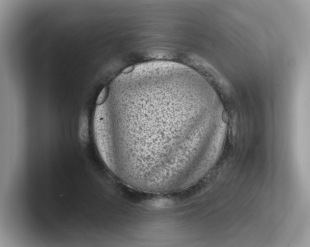 X0000101480696200807281040